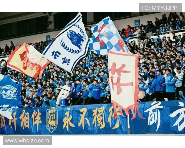 南京足球队的转型之路：从青涩到成熟的杯赛征程与挑战