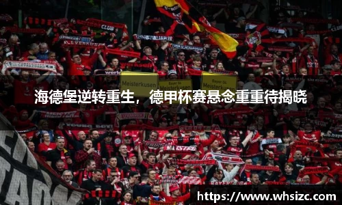 海德堡逆转重生，德甲杯赛悬念重重待揭晓